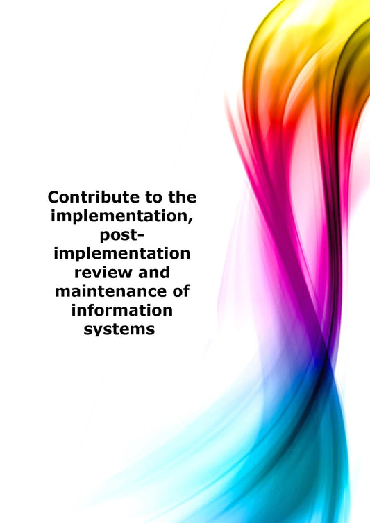 Contribute to the implementation, post-implementation review and maintenance of information systems 