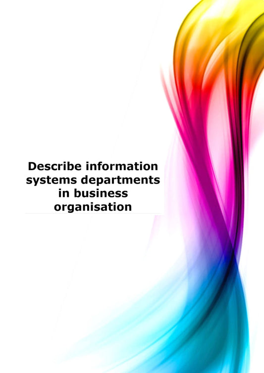 Describe information systems departments in business organisations 