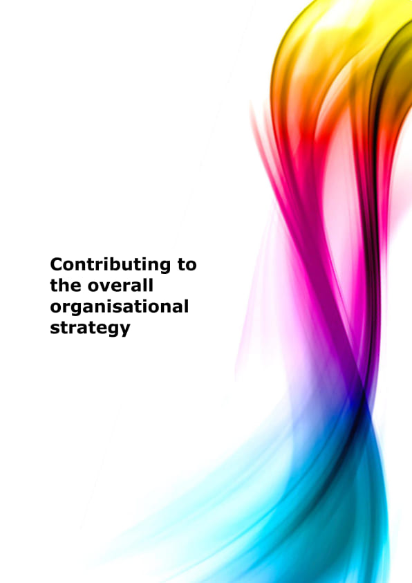 Contributing to the overall organisational strategy