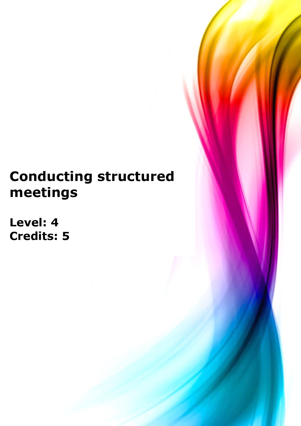 Conduct a structured meeting US