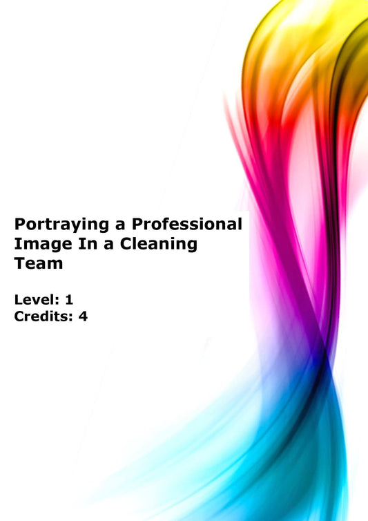 Portray a professional image within a cleaning team US