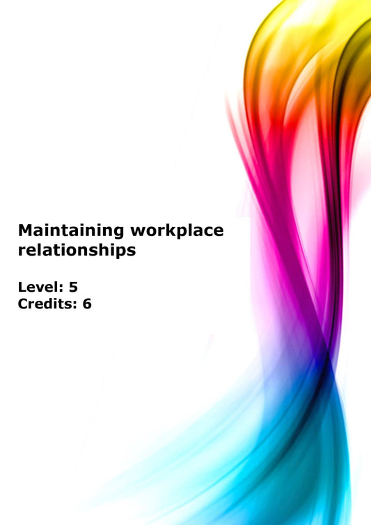 Devise and apply strategies to establish and maintain workplace relationships US