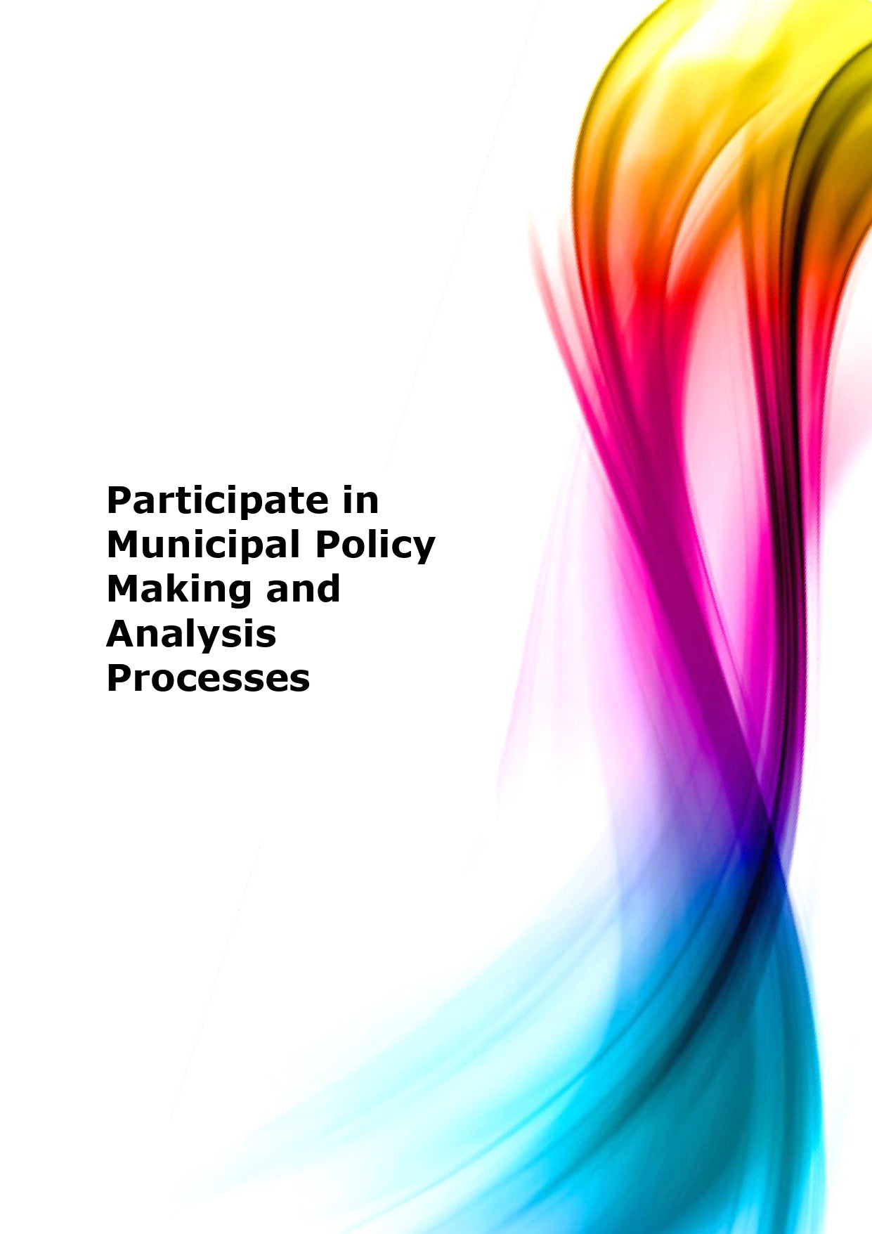 Participate in municipal policy making and analysis processes