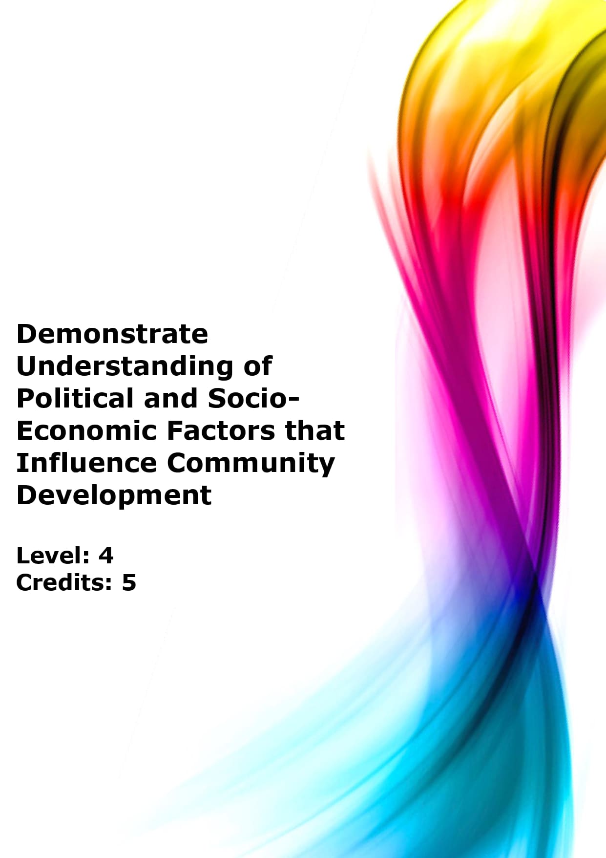 Demonstrate understanding of political and socio-economic factors that influence community development US