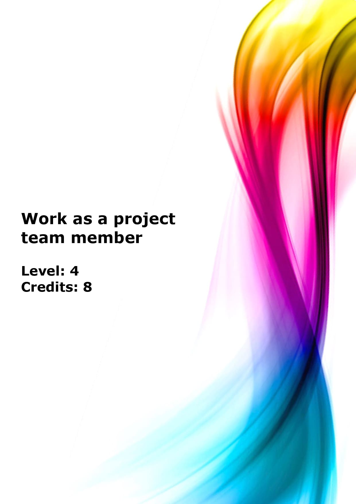 Work as a project team member US
