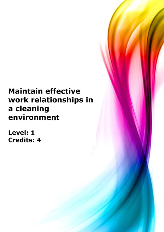 Maintain effective work relationships in a cleaning environment 